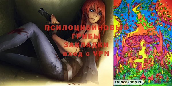 молекула духа Белокуриха