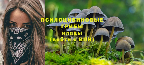 каннабис Беломорск