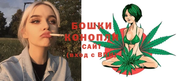 молекула духа Белокуриха
