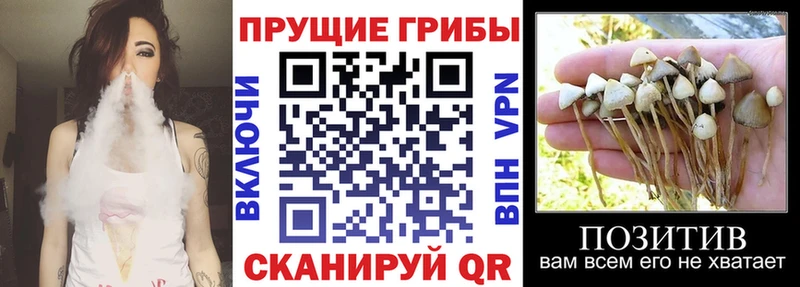 Галлюциногенные грибы мицелий  наркота  Вельск 